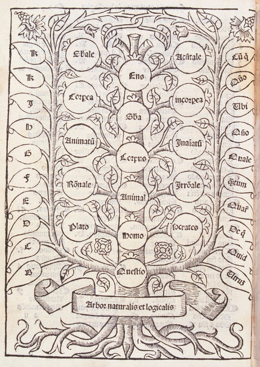 سلم سماوي من "De Nova Logica" بقلم رامون يول (c.1235-1316) c.1512 بواسطة المدرسة الاسبانية