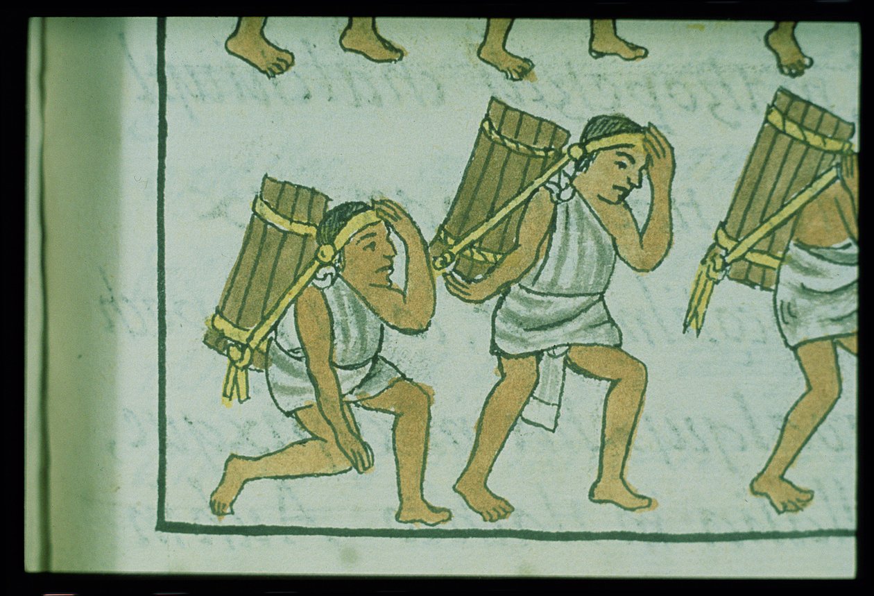 السيدة بالات. 218-220 كتاب IX Aztec الحمالين ، من "مخطوطة فلورنتين" بقلم برناردينو دي ساهاجون ، c.1540-85 بواسطة المدرسة الاسبانية