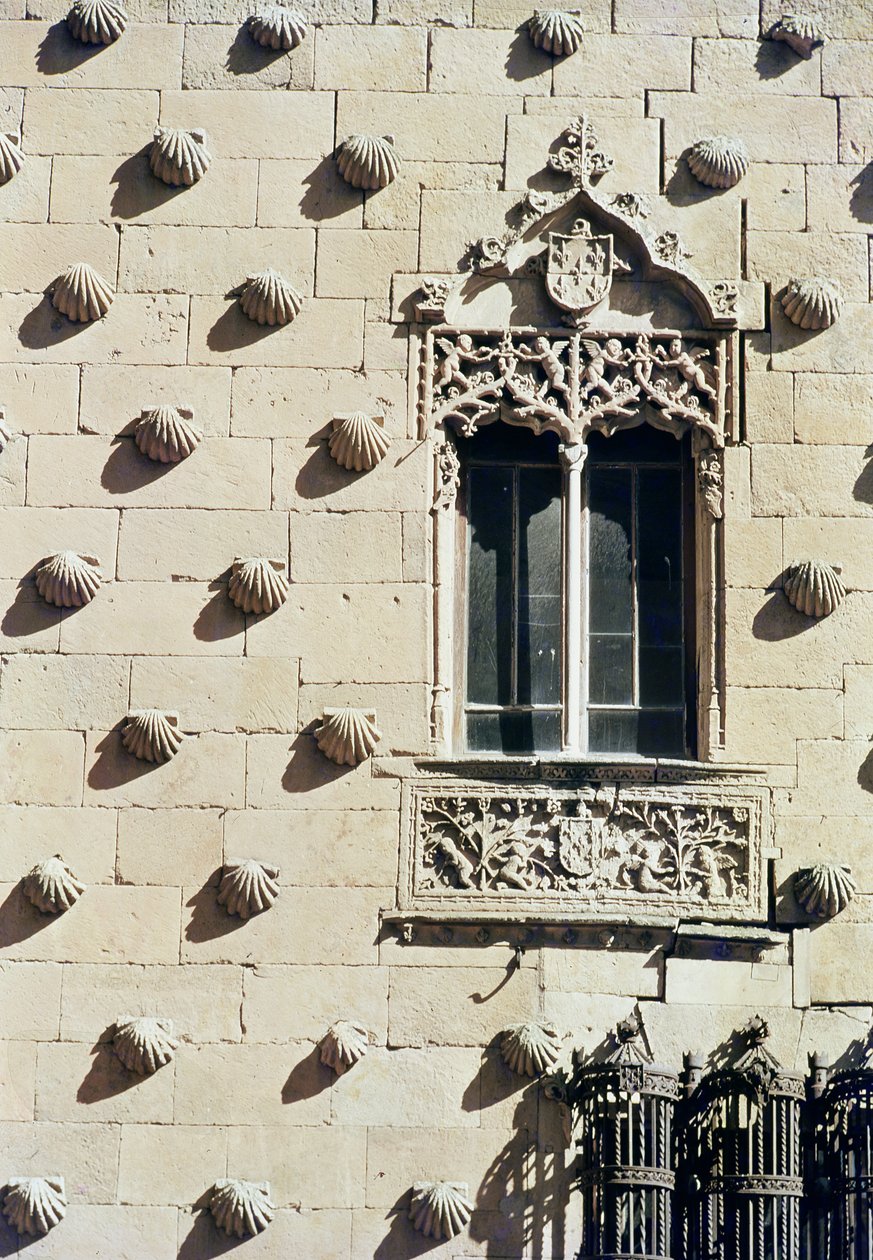 تفاصيل الجزء الخارجي من Casa de la Conchas (صورة) بواسطة المدرسة الاسبانية