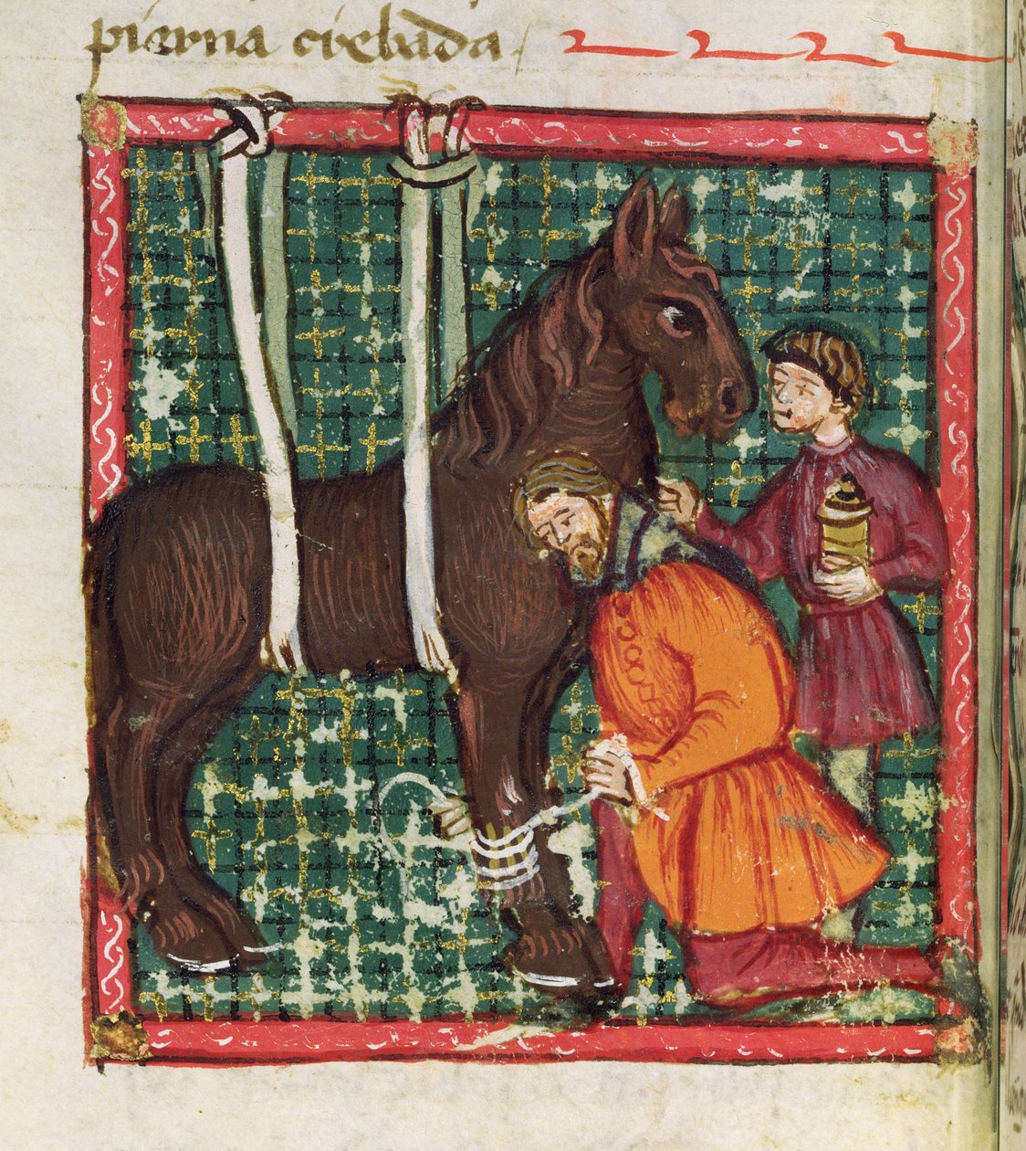 السيدة 214 fol.31v إصلاح مشط الحصان المكسور من Libro de Menescalcia y Albeyteria بواسطة Juan Alvarez ، c.1390 بواسطة المدرسة الاسبانية