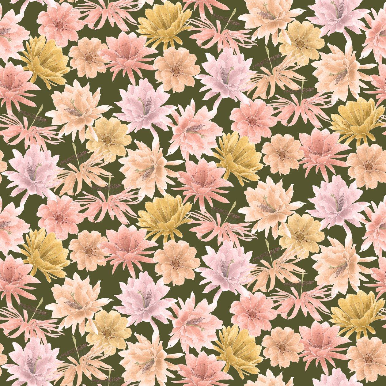 نمط Mojave Desert Blooms، 2021 (قلم جرافيت ورقمي) بواسطة ستايسي هسو