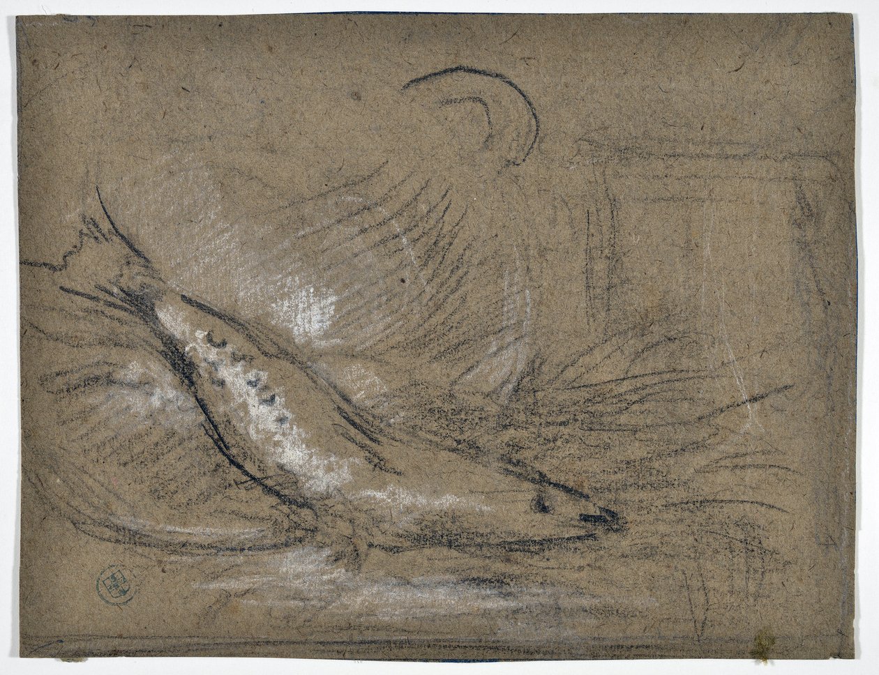 دراسة الأسماك (الرسم) بواسطة Stanislas Torrents y de Amat