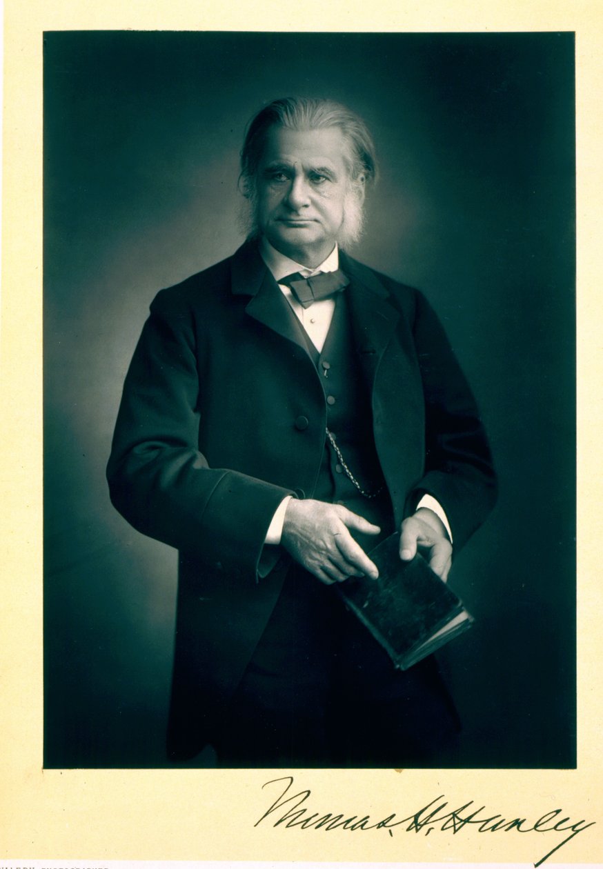البروفيسور توماس إتش. هكسلي (1825-1895) ، عالم الأحياء ، صورة شخصية بواسطة ستانيسلاوس والري