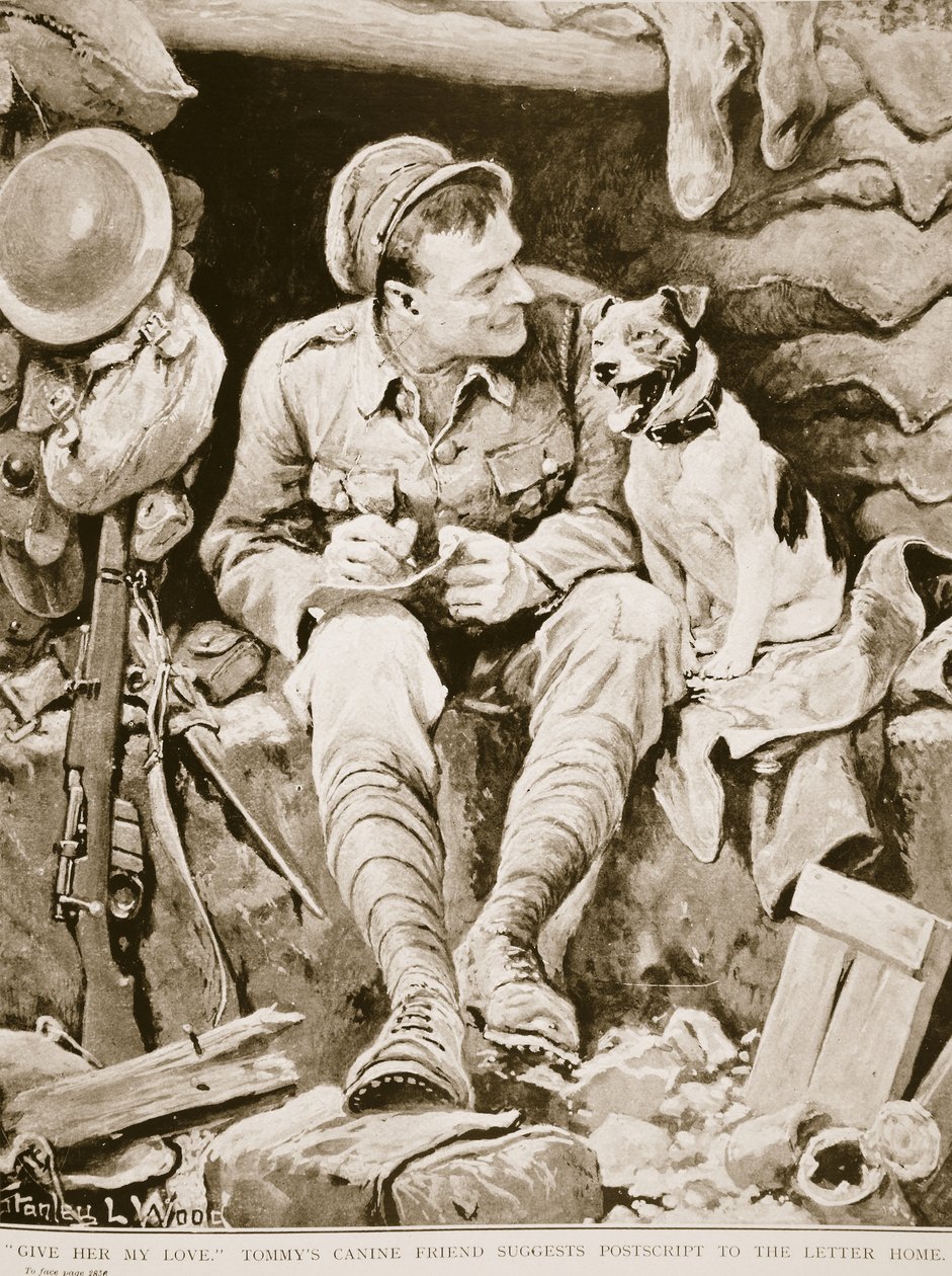 أعطني حبي ، يقترح صديق Tommys Canine ملحقًا لرسالة المنزل ، من War Illlustrated ، c. 1916 بواسطة ستانلي ل. وود