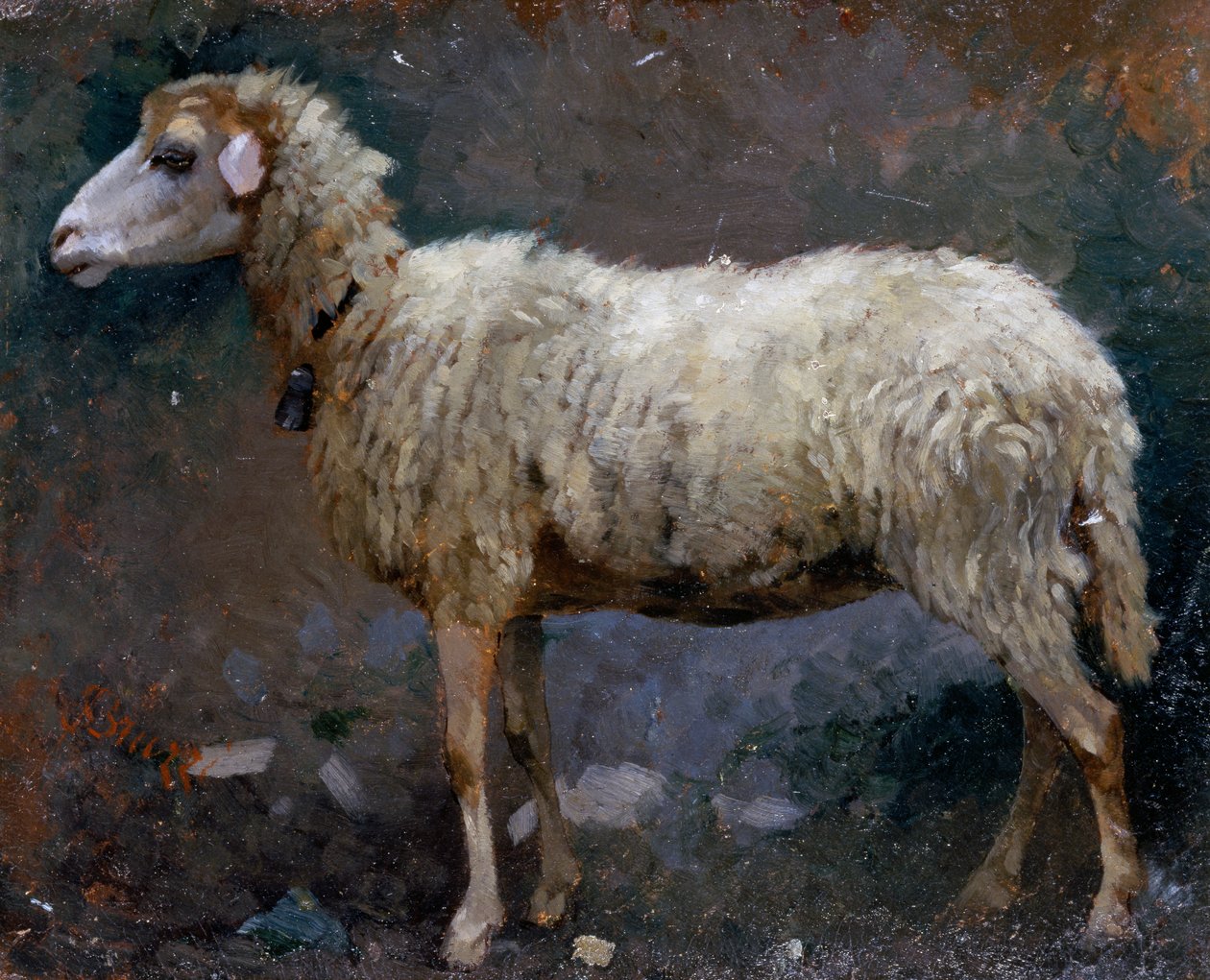 Sheep in profile, painting by Stefano Bruzzi (1835-1911), oil on cardboard بواسطة ستيفانو بروزي