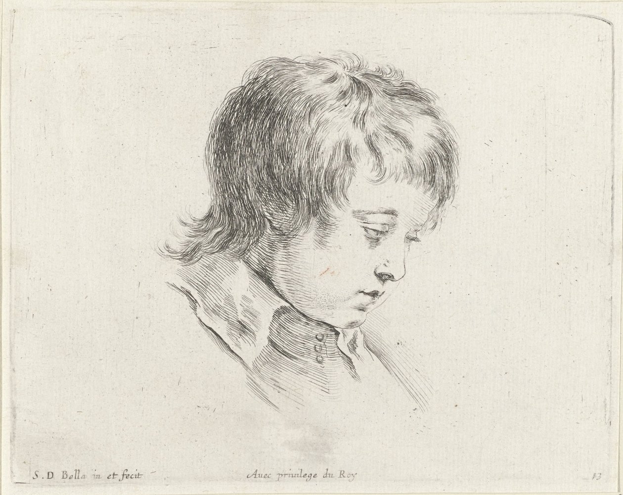 رأس شاب ينظر إلى اليمين مبادئ الرسم (عنوان السلسلة) I Principii del disegno (عنوان المسلسل) بواسطة ستيفانو ديلا بيلا