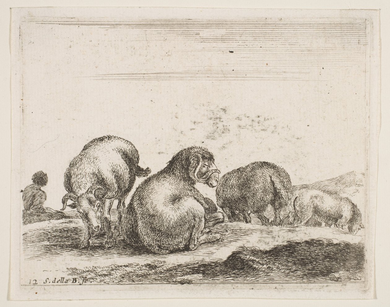 اللوحة 12: خروف وكبش في مرعى من حيوانات مختلفة Diversi animali، ca. 1641. بواسطة ستيفانو ديلا بيلا