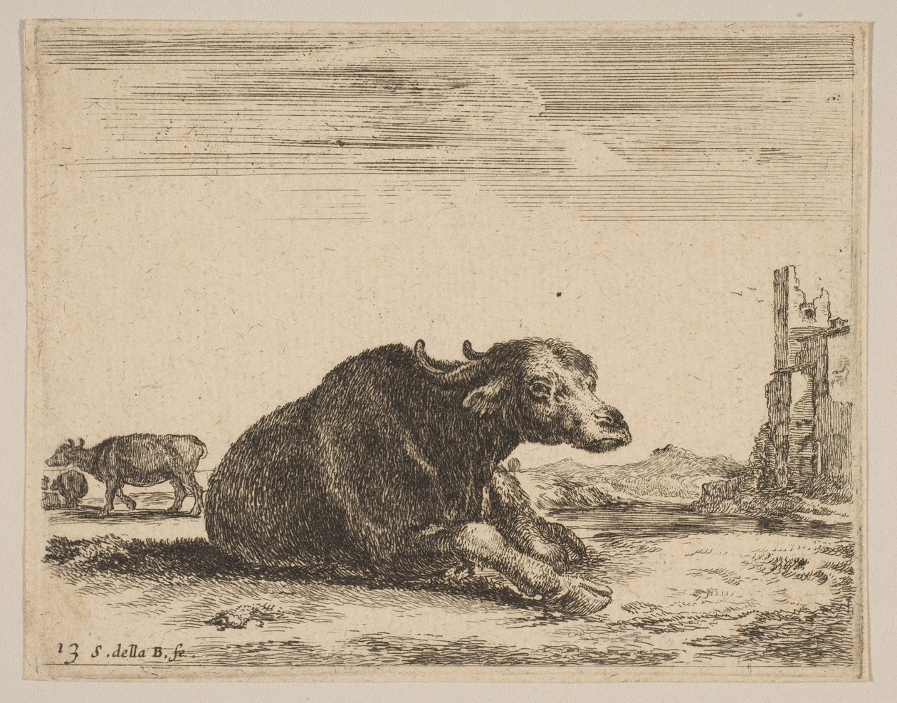 اللوحة 13: جاموس مستلقي من حيوانات مختلفة Diversi animali، ca. 1641. بواسطة ستيفانو ديلا بيلا