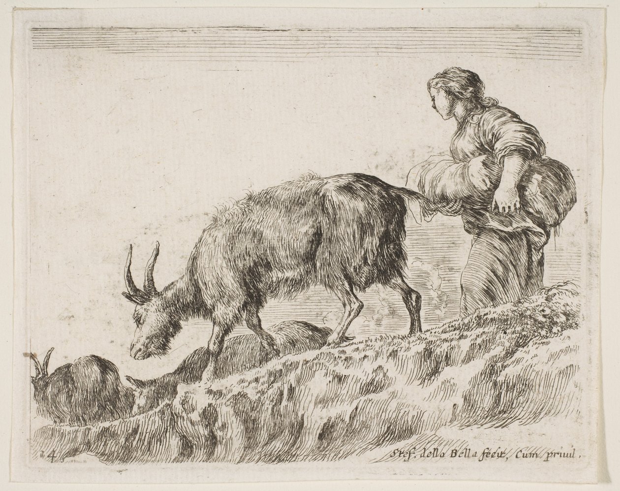 اللوحة 14: رعي الماعز ، من مختلف الحيوانات Diversi animali ، ca. 1641. بواسطة ستيفانو ديلا بيلا