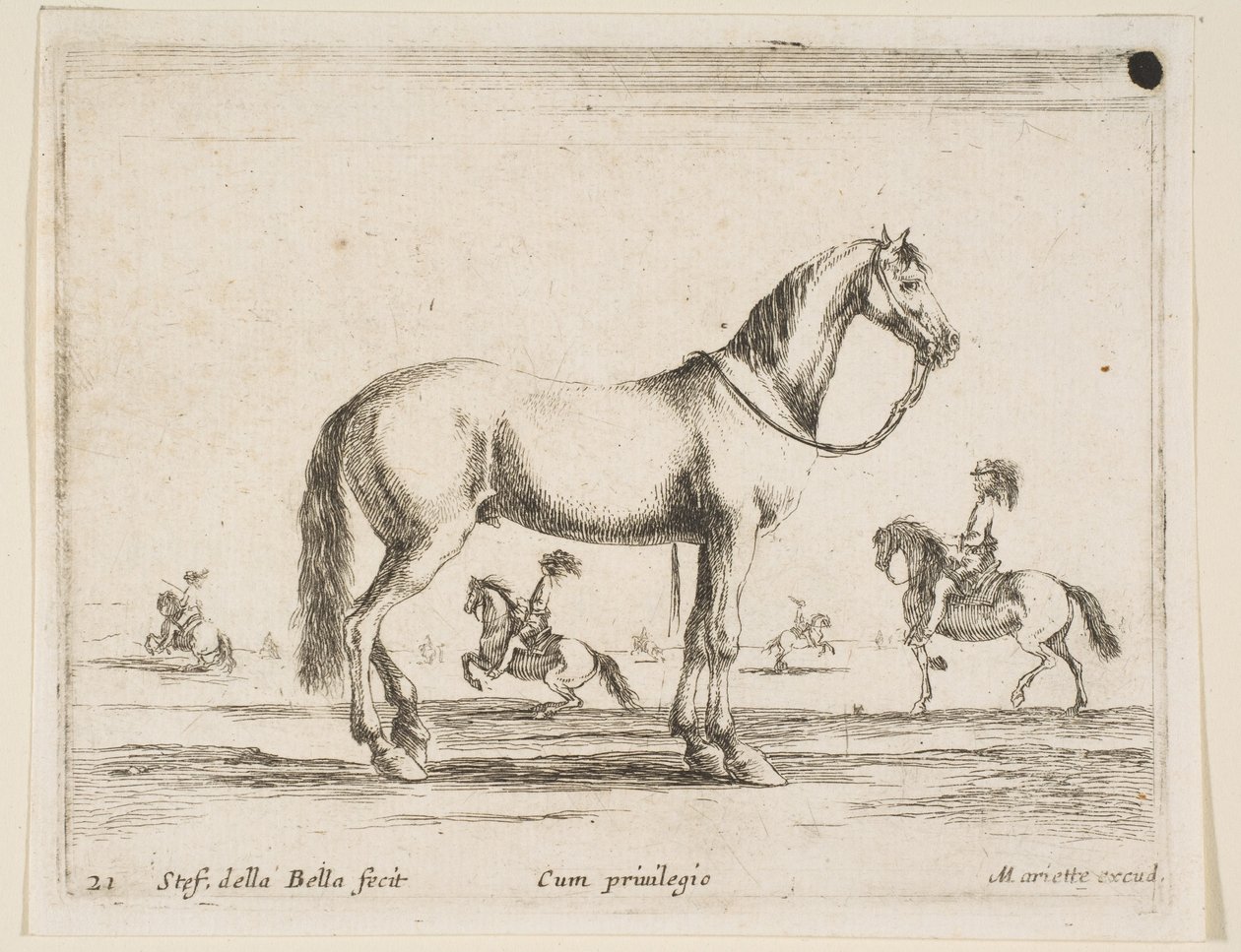 اللوحة 21: حصان ، من حيوانات مختلفة Diversi animali ، 1641. بواسطة ستيفانو ديلا بيلا