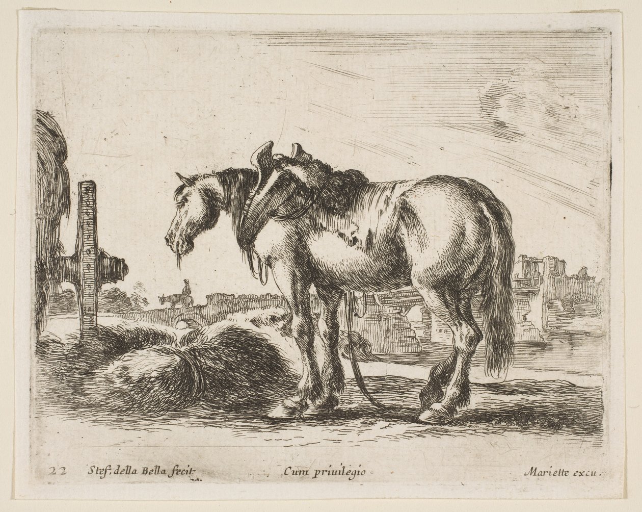 اللوحة 22: حصان عربة ، من حيوانات مختلفة Diversi animali ، ca. 1641. بواسطة ستيفانو ديلا بيلا