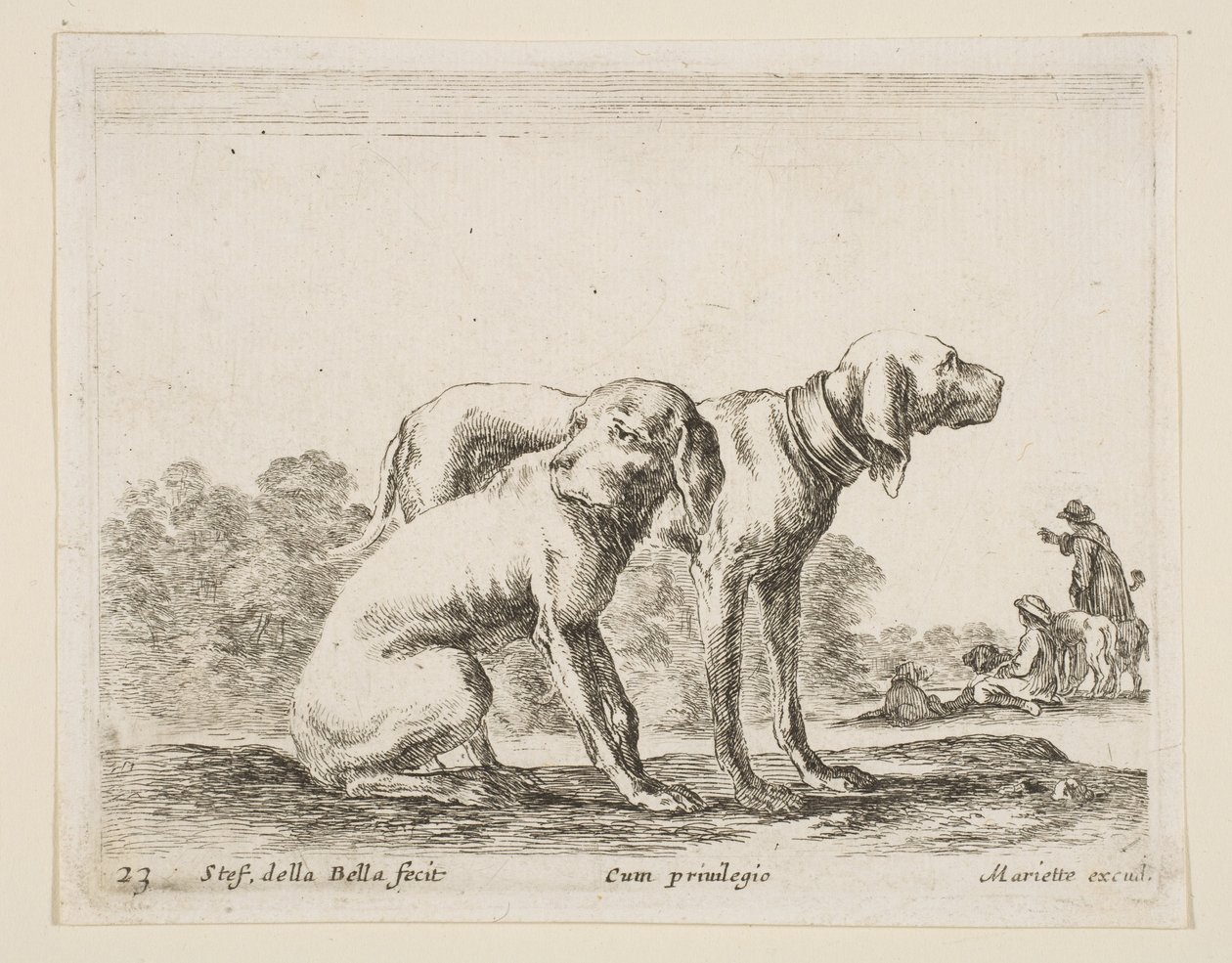 اللوحة 23: كلبان من حيوانات مختلفة Diversi animali، ca. 1641. بواسطة ستيفانو ديلا بيلا