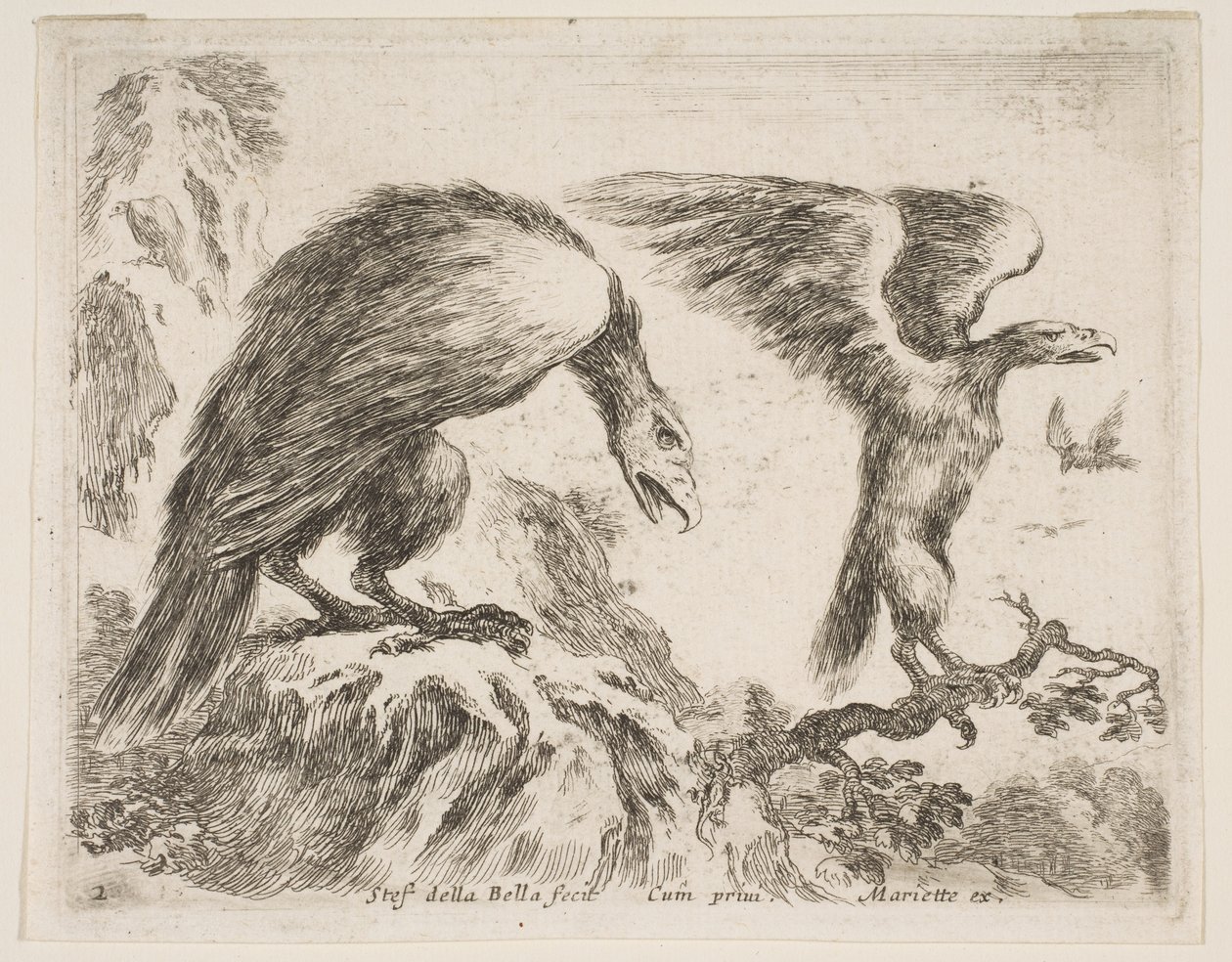 اللوحة 2: النسر والنسر ، من الحيوانات المختلفة Diversi animali ، ca. 1641. بواسطة ستيفانو ديلا بيلا