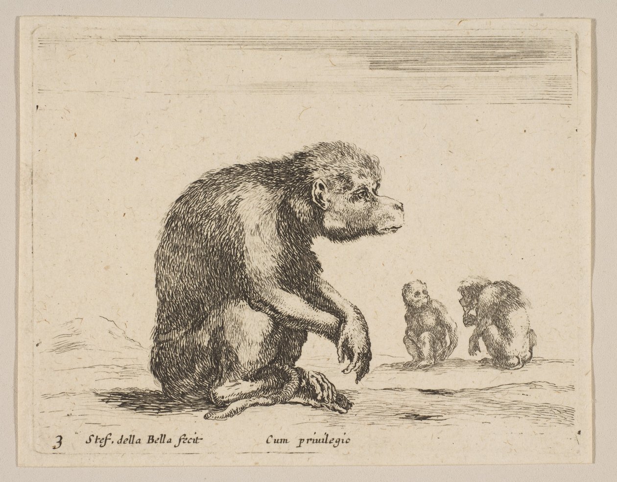 اللوحة 3: قرد جالس من حيوانات مختلفة Diversi animali، ca. 1641. بواسطة ستيفانو ديلا بيلا