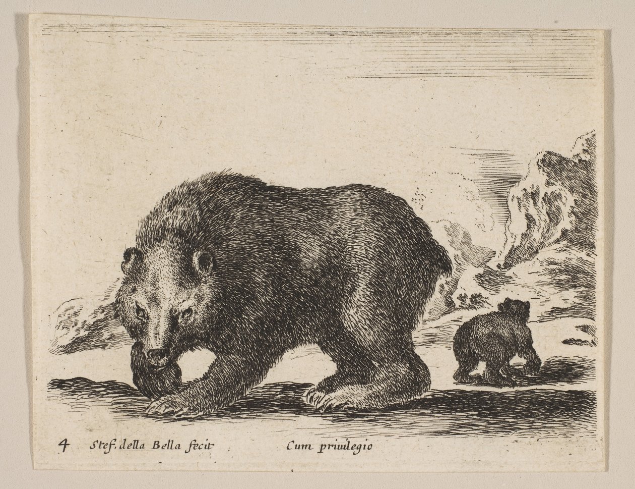اللوحة 4: دب ، من "حيوانات مختلفة" Diversi animali ، كاليفورنيا. 1641. بواسطة ستيفانو ديلا بيلا