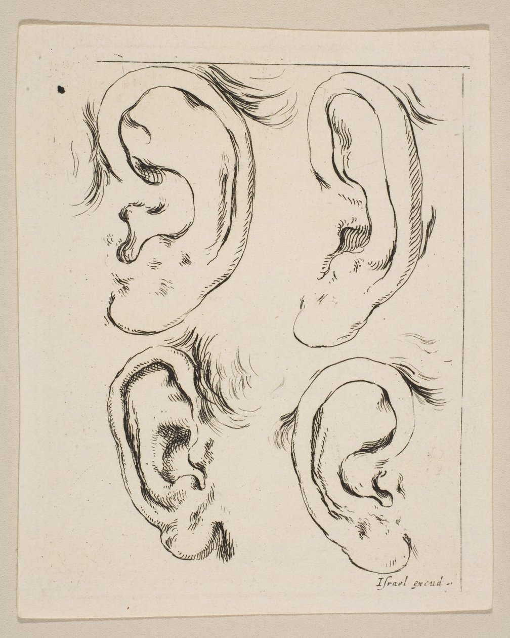 اللوحة 5: أربع آذان ، من كتاب التعلم لرسم Livre pour Apprendre à dessi ...، ca. 1649. بواسطة ستيفانو ديلا بيلا