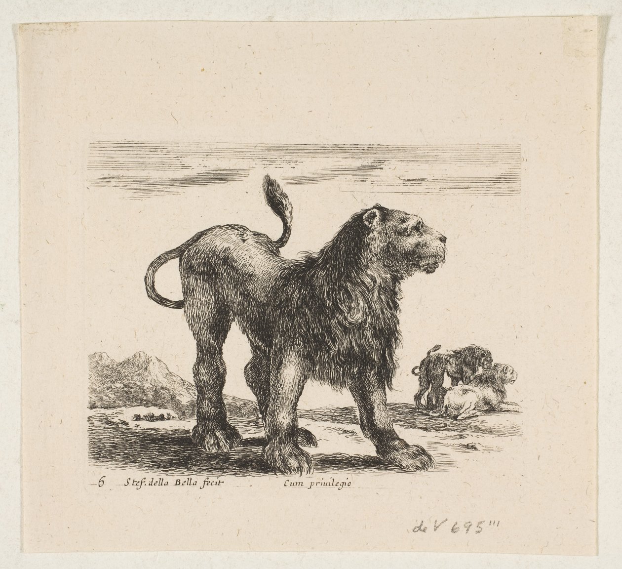 اللوحة 6: أسد ، من "حيوانات مختلفة" Diversi animali ، كاليفورنيا. 1641. بواسطة ستيفانو ديلا بيلا