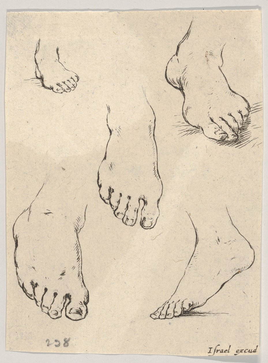 اللوحة 7: خمسة أقدام ، من كتاب التعلم لرسم Livre pour Apprendre à dessi ...، ca. 1649. بواسطة ستيفانو ديلا بيلا