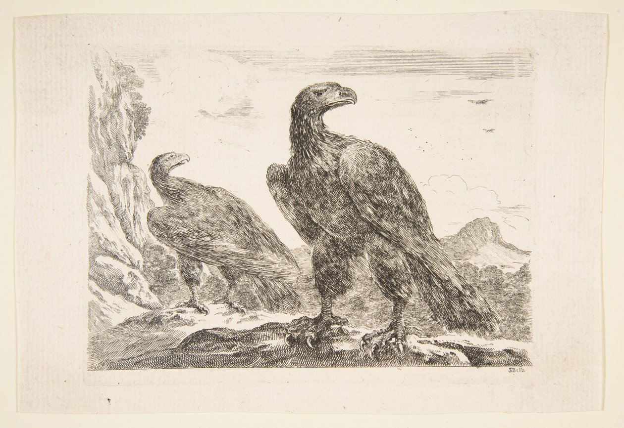 نسرين ، من "Eagles" Les aigles ، كاليفورنيا. 1651. بواسطة ستيفانو ديلا بيلا