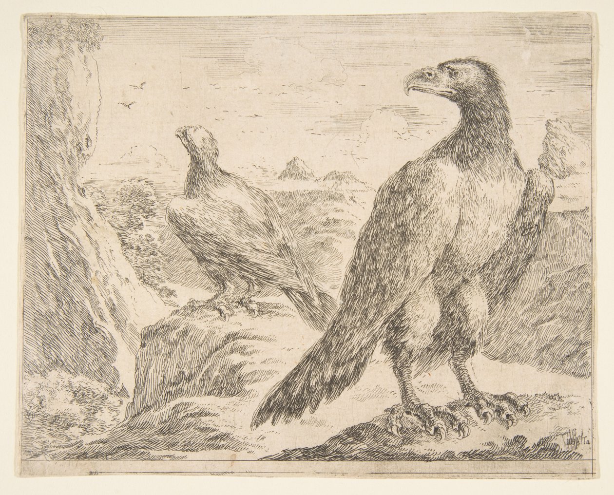 نسران ، من النسور Les aigles ، كاليفورنيا. 1651. بواسطة ستيفانو ديلا بيلا