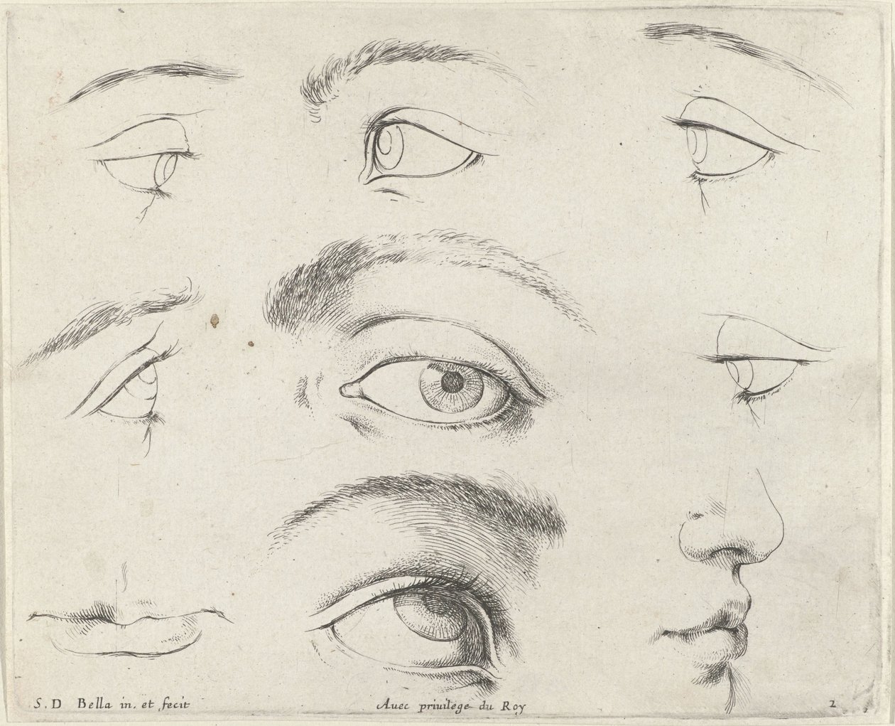 سبع عيون وفمان وأنف مبادئ الرسم (عنوان السلسلة) I Principii del disegno (عنوان المسلسل) بواسطة ستيفانو ديلا بيلا