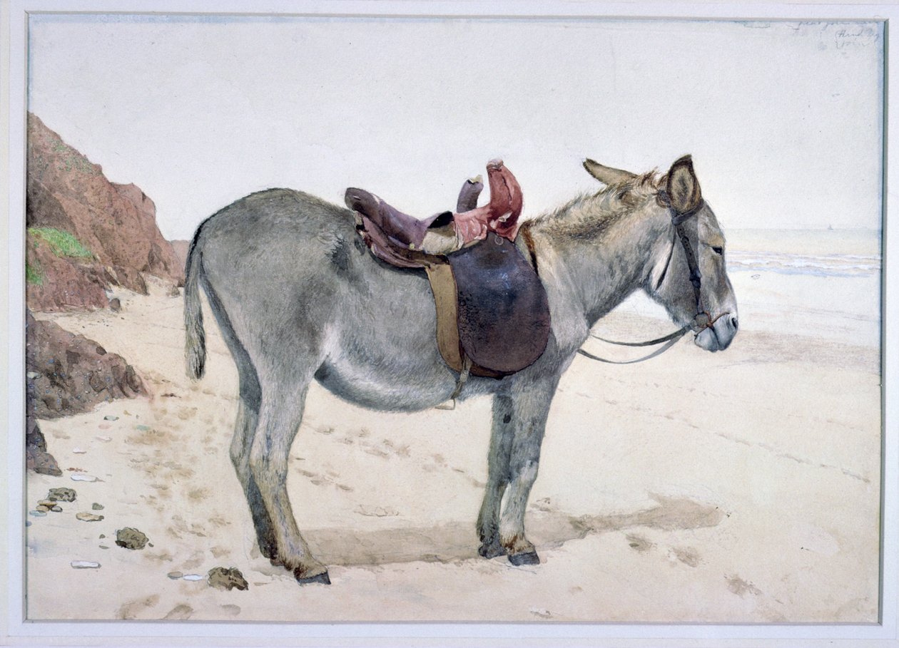 دراسات على الحيوانات (S.Ex.2-1885) بواسطة ستيفن بريجز كارليل