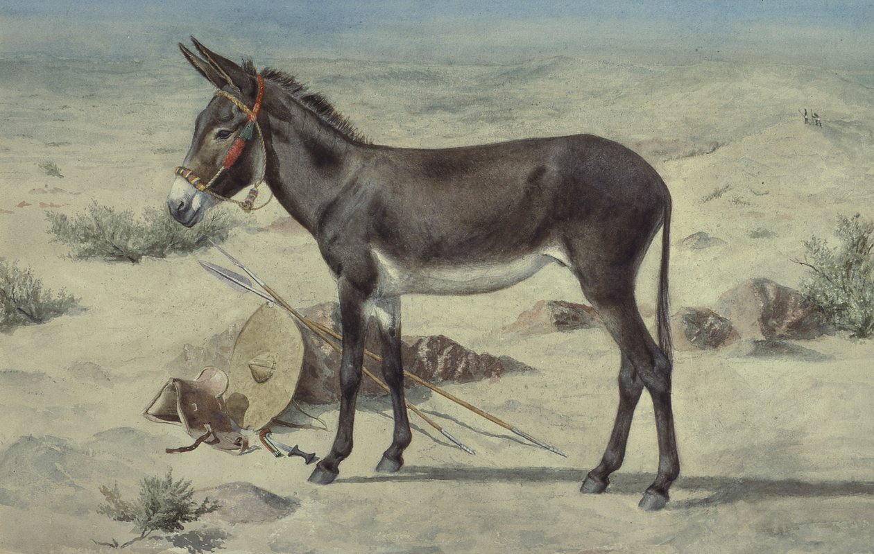 دراسات على الحيوانات (S.Ex.3-1885) بواسطة ستيفن بريجز كارليل