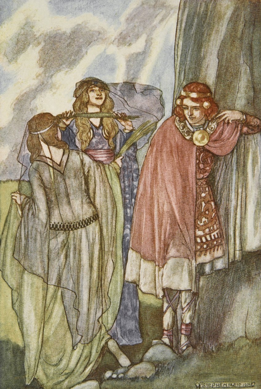 The Fairy Swan-Maidens ، رسم توضيحي من "Cuchulain ، The Hound of Ulster" ، بقلم إليانور هال (1860-1935) بواسطة ستيفن ريد