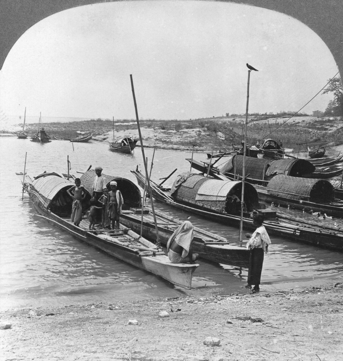 القوارب على نهر إيراوادي ، مينجون ، بورما ، 1908 بواسطة شركة السفر ستيريو