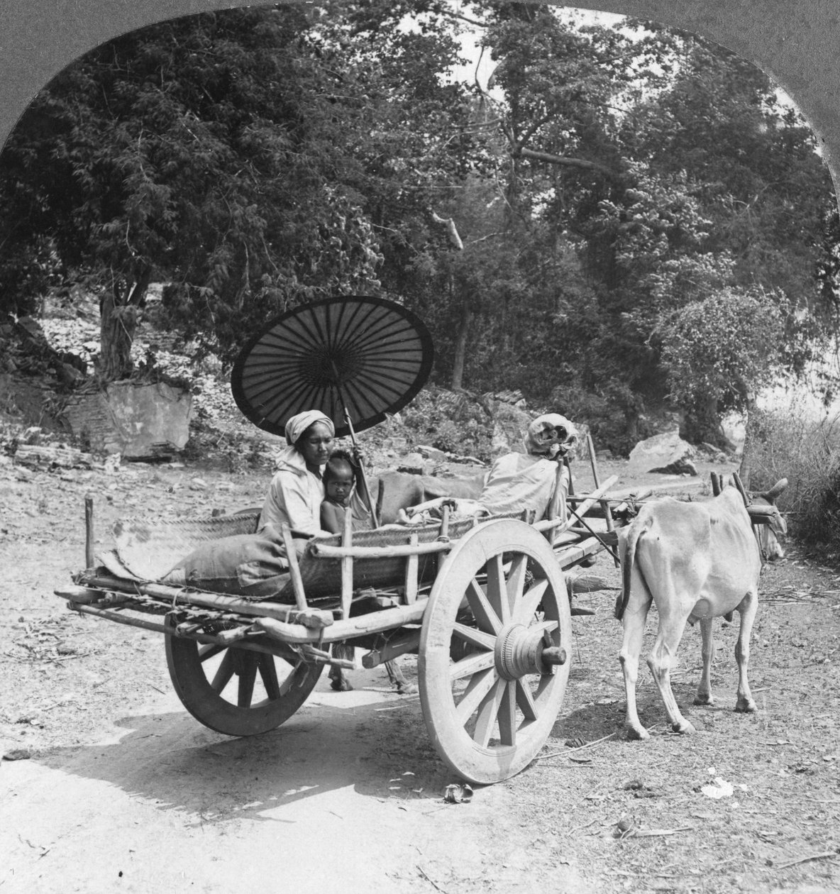 رحلة عائلية عبر الغابة بالقرب من مينجون ، بورما ، 1908 بواسطة شركة السفر ستيريو