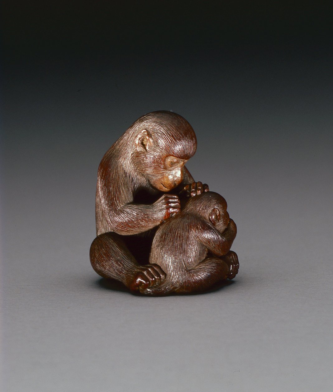 Netsuke يصور قرد الأم وابنها ، 1880-1900 (الخشب) (للخلف انظر 208393) بواسطة سوزوكي توكوكو