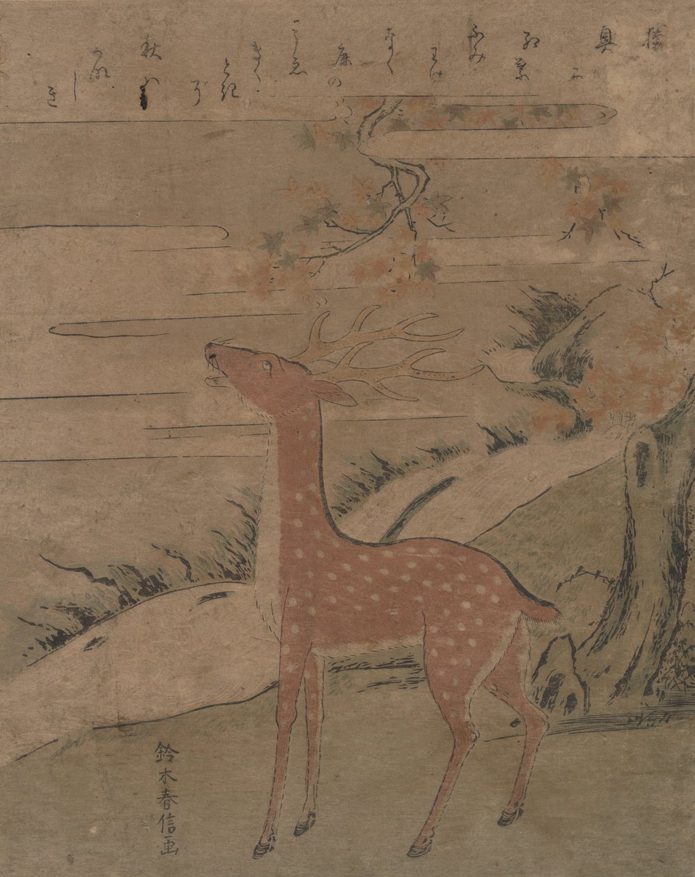 صرخة الأيل ، كاليفورنيا. 1760. ، كاليفورنيا. 1760. بواسطة سوزوكي هارونوبو