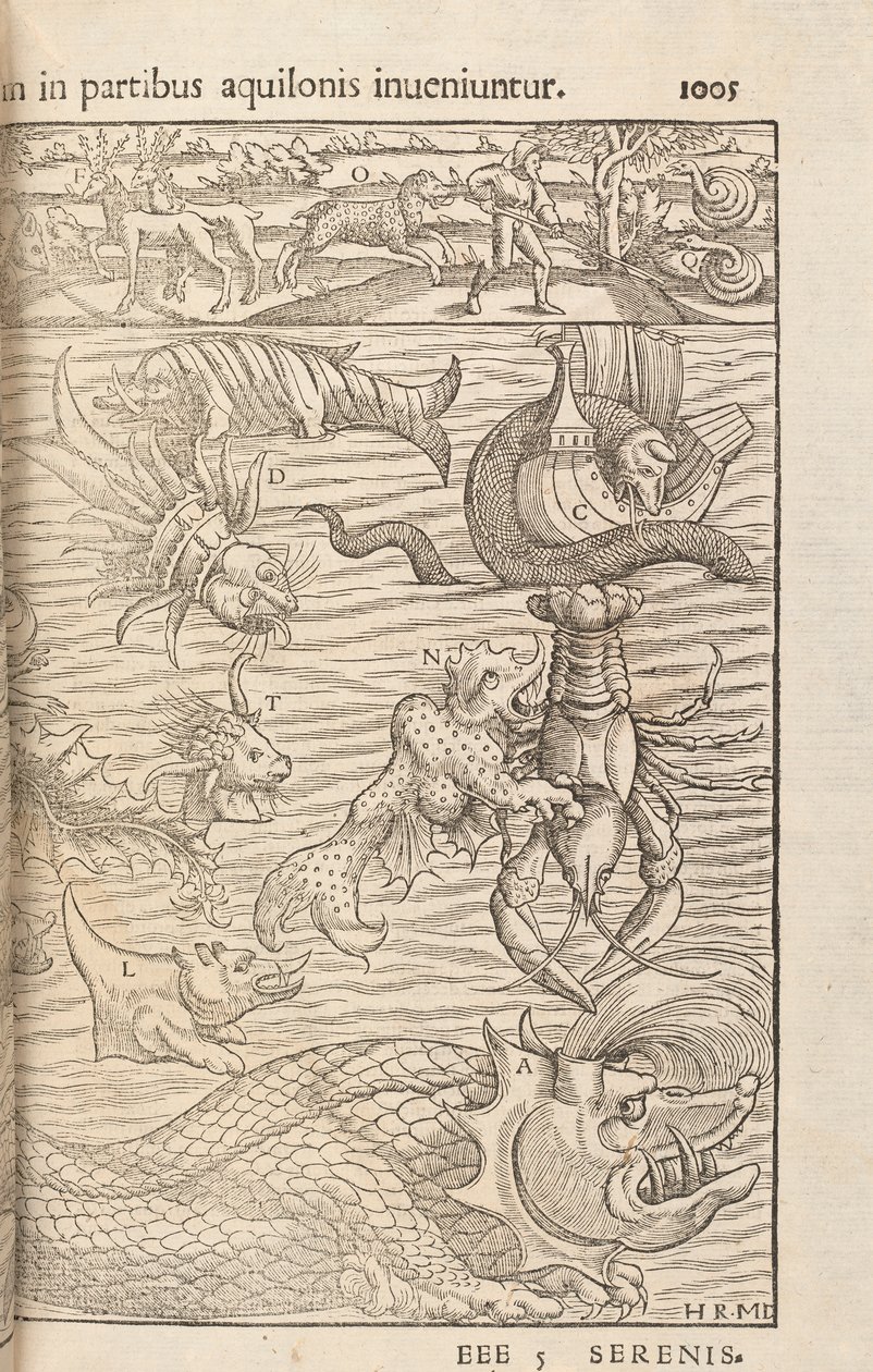الصفحة 1005 من Cosmographiae Universalis بقلم سيباستيان مونستر ، بازل ، 1572 بواسطة المدرسة السويسرية