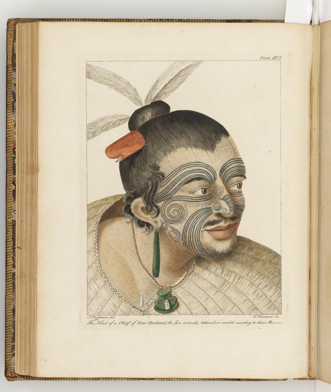 رسم توضيحي من "مجلة رحلة إلى البحار الجنوبية: في سفينة جلالة الملكة ، المسعى" ، 1794. بواسطة سيدني باركنسون