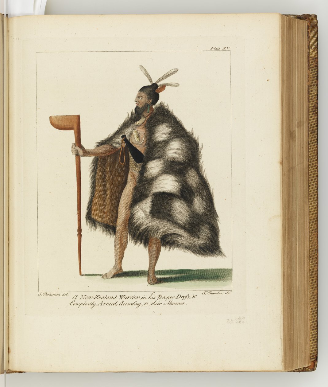 رسم توضيحي من مجلة رحلة إلى البحار الجنوبية: في سفينته جلالة الملكة ، انديفور ، 1794 (نقش يدوي) بواسطة سيدني