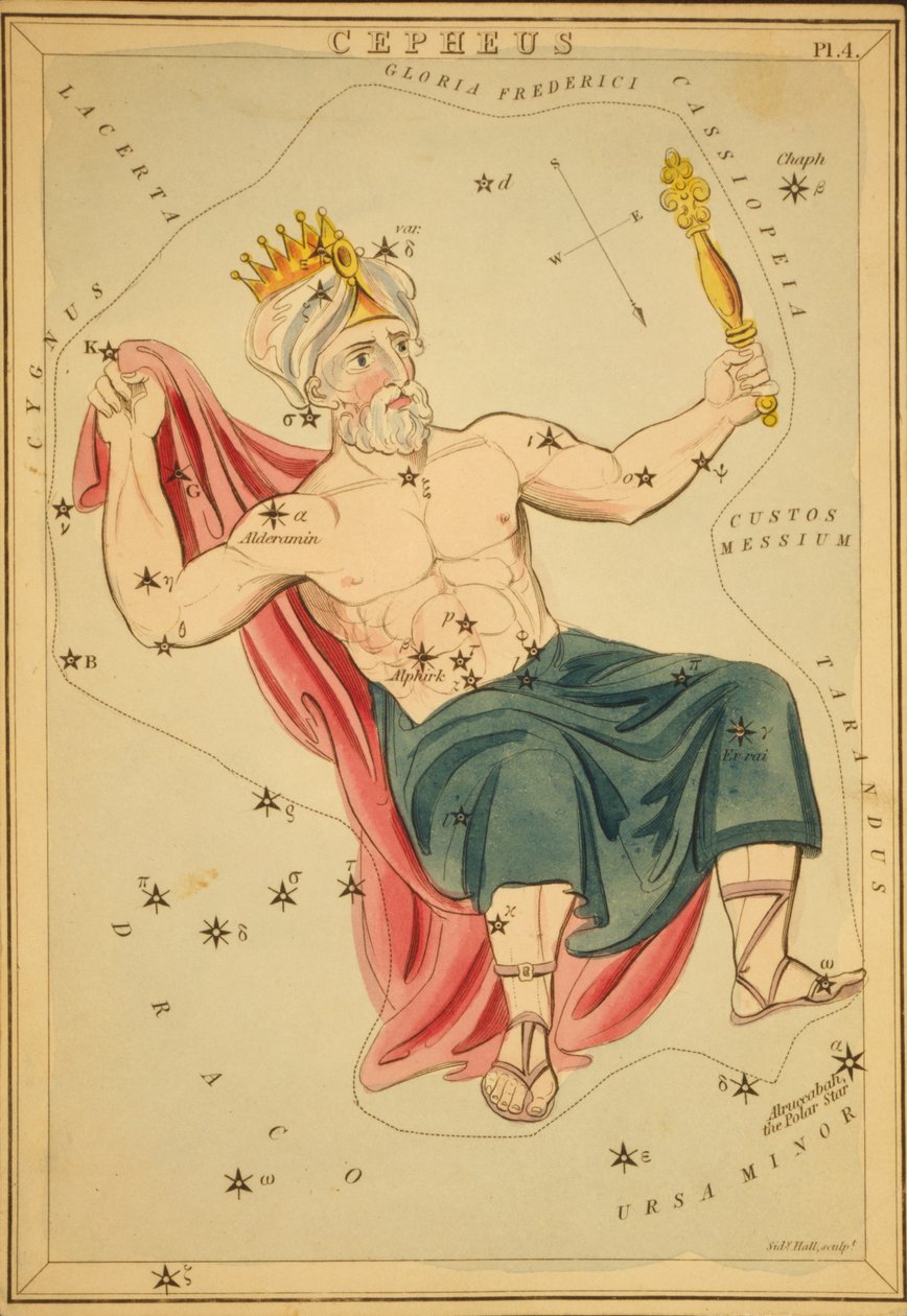 Cepheus ، رسم توضيحي من "مرآة أورانيا" بواسطة قاعة سيدني