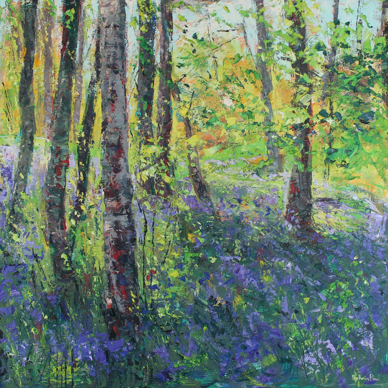 أشجار البتولا و Bluebells بواسطة سيلفيا بول