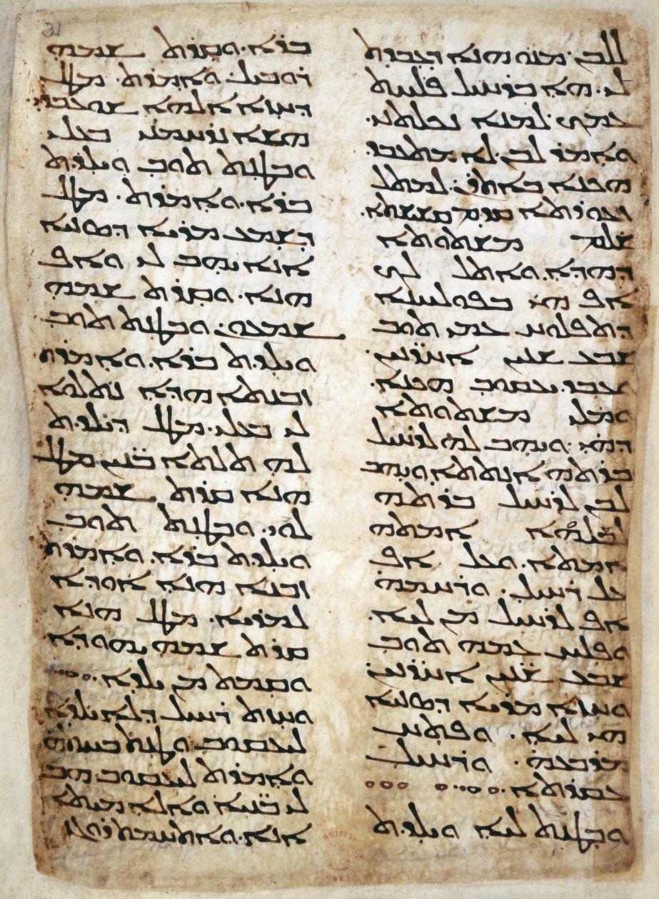 يضيف. 14425 ، ص 31 ، صفحة نصية من أسفار موسى الخمسة. (التكوين ، الخروج ، العدد ، التثنية) ، 464 (الرق) بواسطة سوري سوري