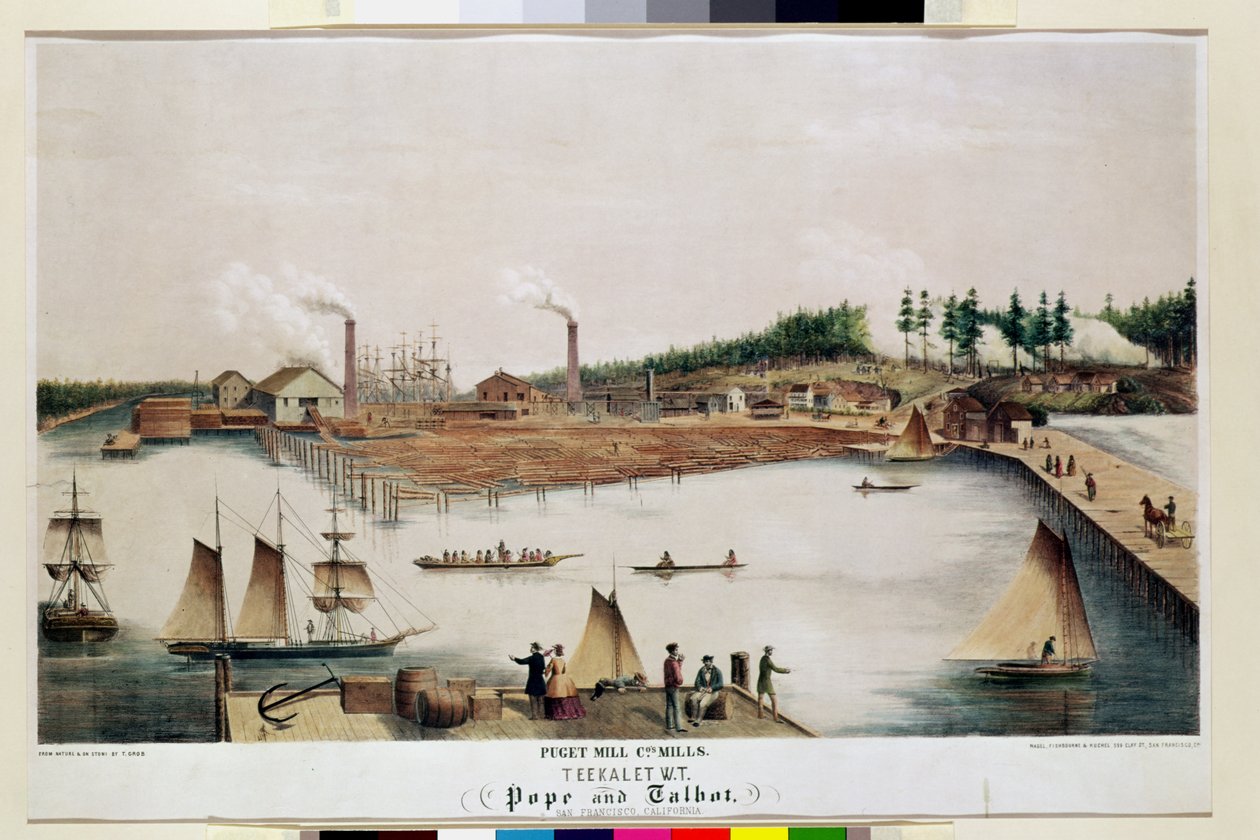 منظر لمصنع الخشب لشركة Puget Mill في Tekalet ، 1856 بواسطة T. Grob
