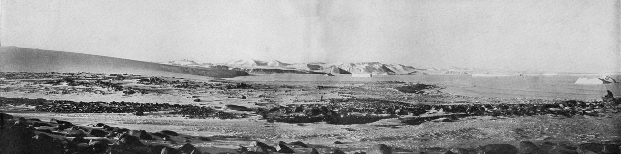 بانوراما للرأس روبرتس ينظر إلى الشمال ، c1911 ، 1913. بواسطة تي جريفيث تايلور