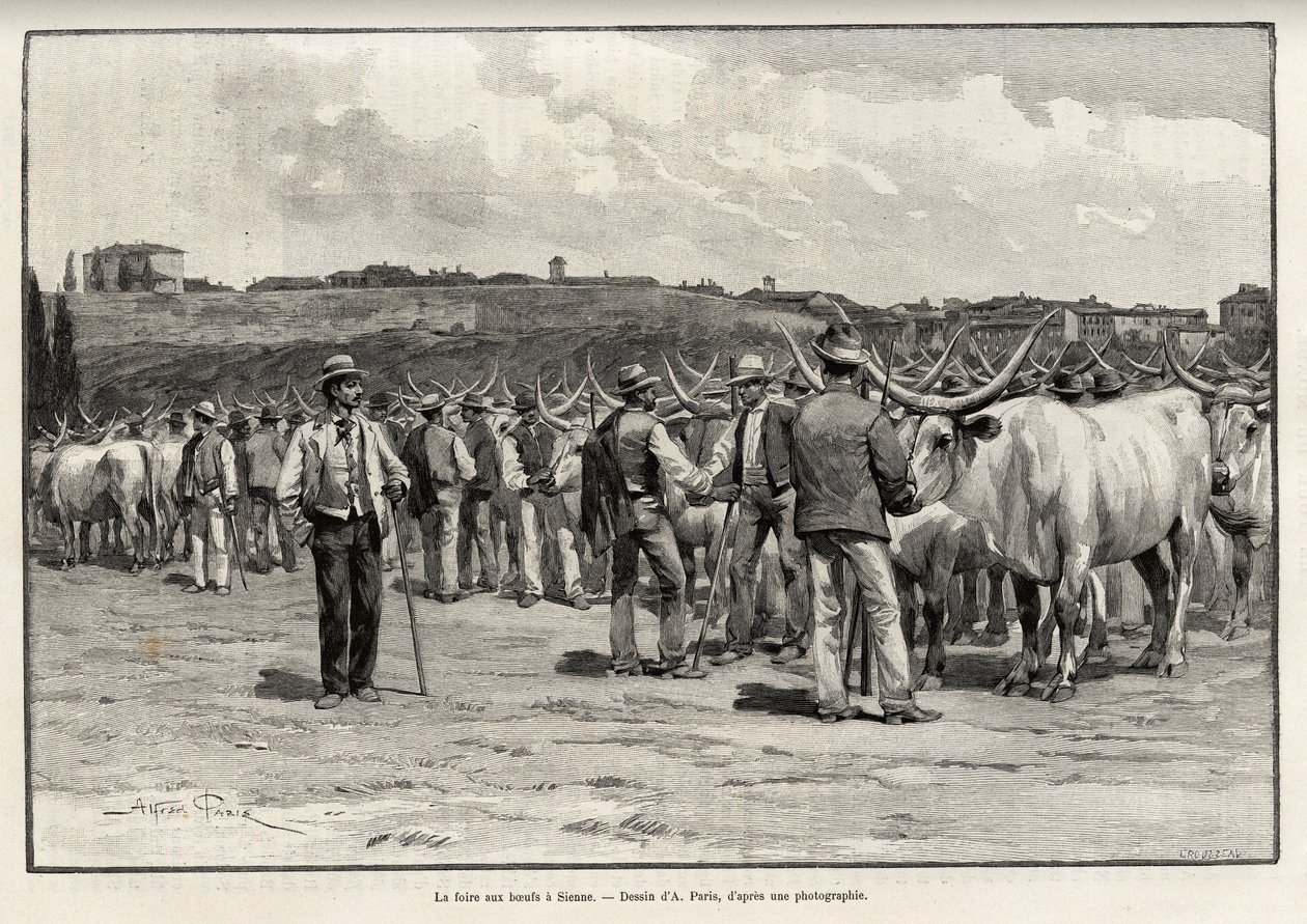 معرض لحوم البقر في سيينا (ايطاليا). نقش تايلور لتوضيح قصة "A travers la Tuscane" ليوجين مونتز (1845-1902) ، في لو تور دو موند 1892 ، من إخراج إدوارد شارتون (1807-1891) ، هاشيت ، باريس. بواسطة تي تايلور