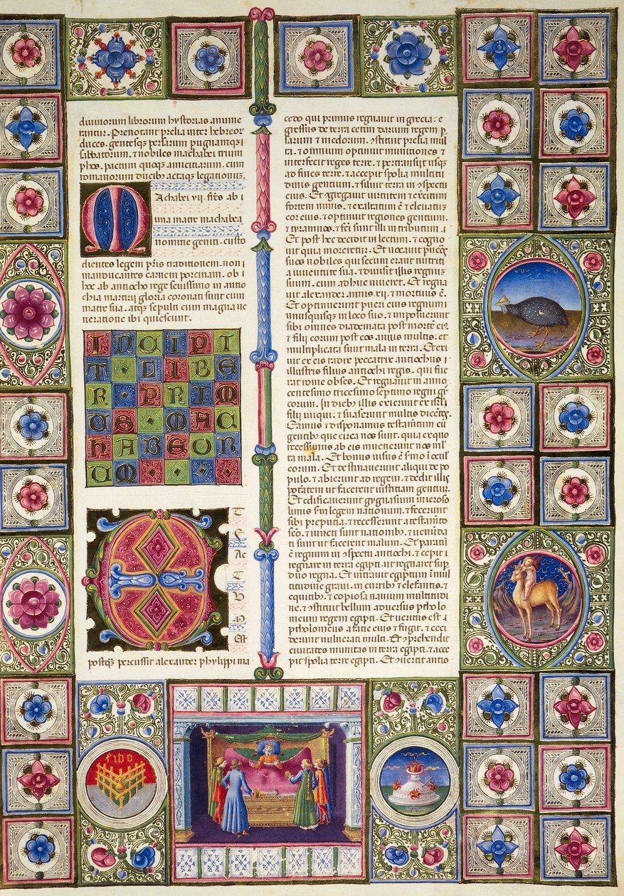 بداية من كتاب النبي حجي ، من المجلد الثاني من الكتاب المقدس لبورسو ديست ، زخرفه تادو كريفيللي (1425-1479) وآخرون ، مخطوطة لاتينية 422-423 ، الصحيفة 103 ، ظهر الورقة بواسطة تاديو كريفيلي