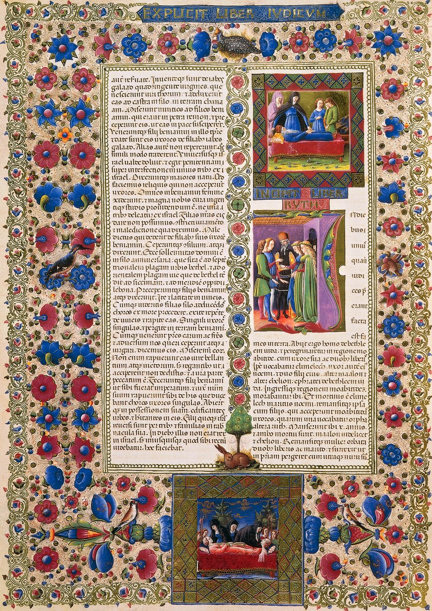 بداية من كتاب روث ، من المجلد الثاني من الكتاب المقدس لبورسو ديست ، زخرفه تادو كريفيلي (1425-1479) وآخرون ، مخطوطة لاتينية 422-423 ، الصحيفة 109 ، ظهر ، مخطوطة بواسطة تاديو كريفيلي