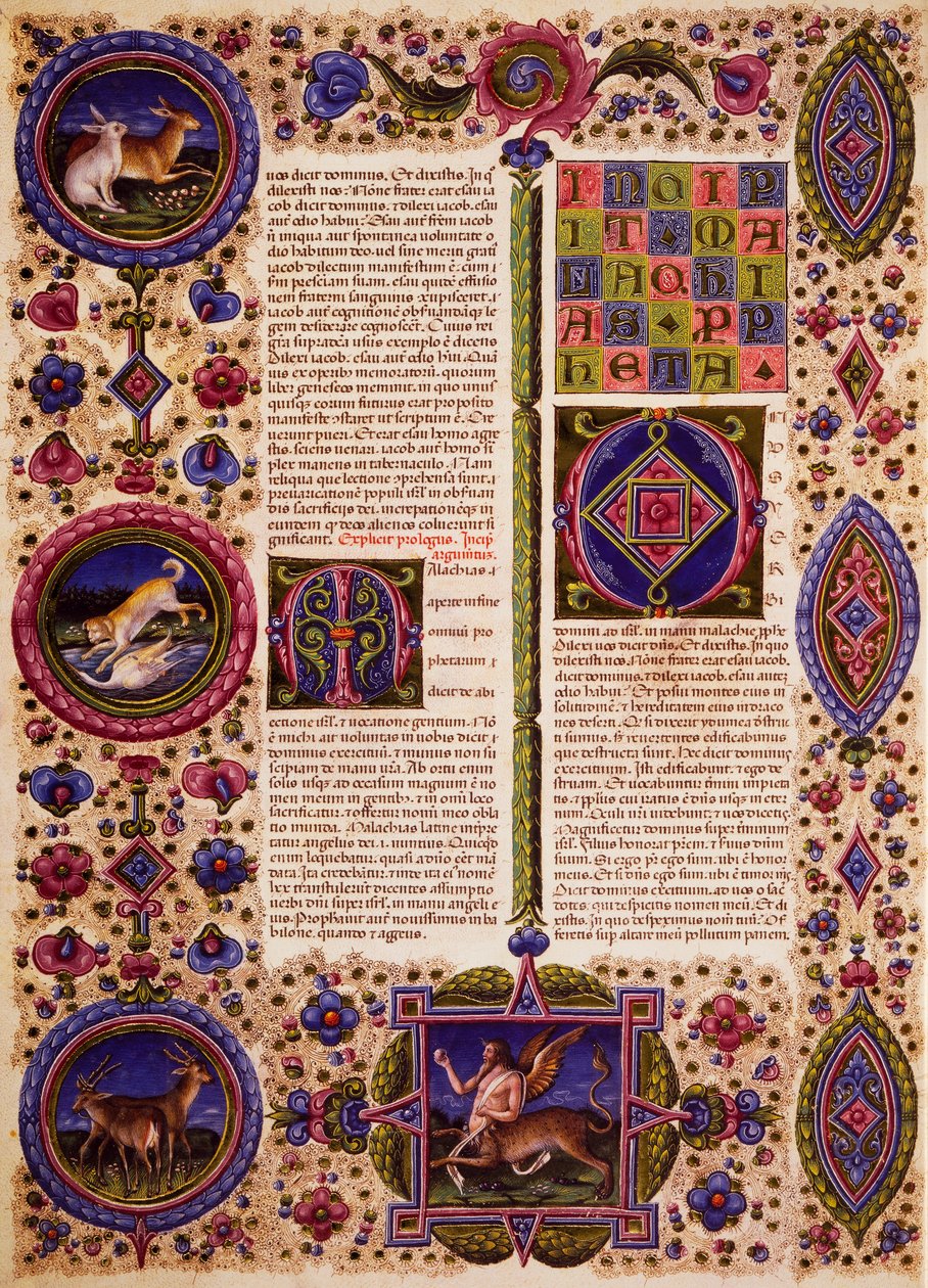 بداية من كتاب صفنيا ، من المجلد الثاني من الكتاب المقدس لبورسو ديست ، منارة بواسطة تادو كريفيلي (1425-1479) وآخرون ، مخطوطة لاتينية 422-423 ، الصحيفة 102 ، ظهر ، مخطوطة برشمان بواسطة تاديو كريفيلي