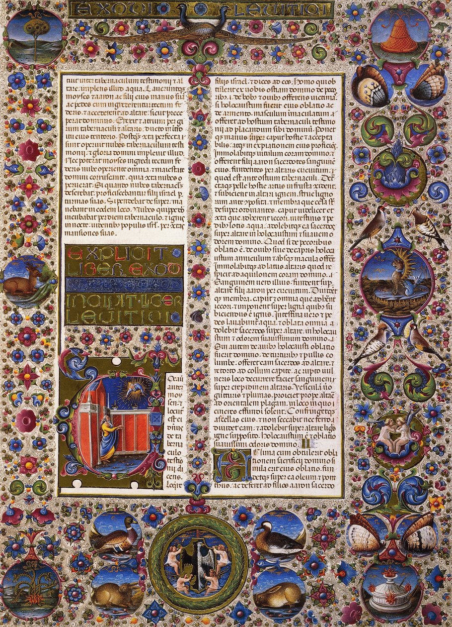كتاب اللاويين ، المجلد الأول من الكتاب المقدس لبورسو ديست ، زخرفه تادو كريفيلي (1425-1479) ومؤلفون آخرون ، مخطوطة لاتينية 422-423 ، الصحيفة 44 ، ظهر ، مخطوطة برشمان بواسطة تاديو كريفيلي