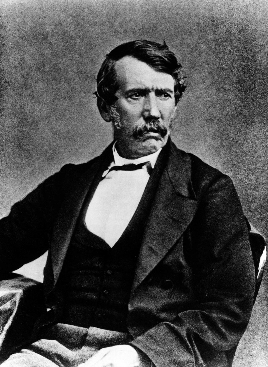 صورة لفنغستون - صورة عنان وأبنائه ، غلاسكو. بواسطة T. and R. Annan and Sons