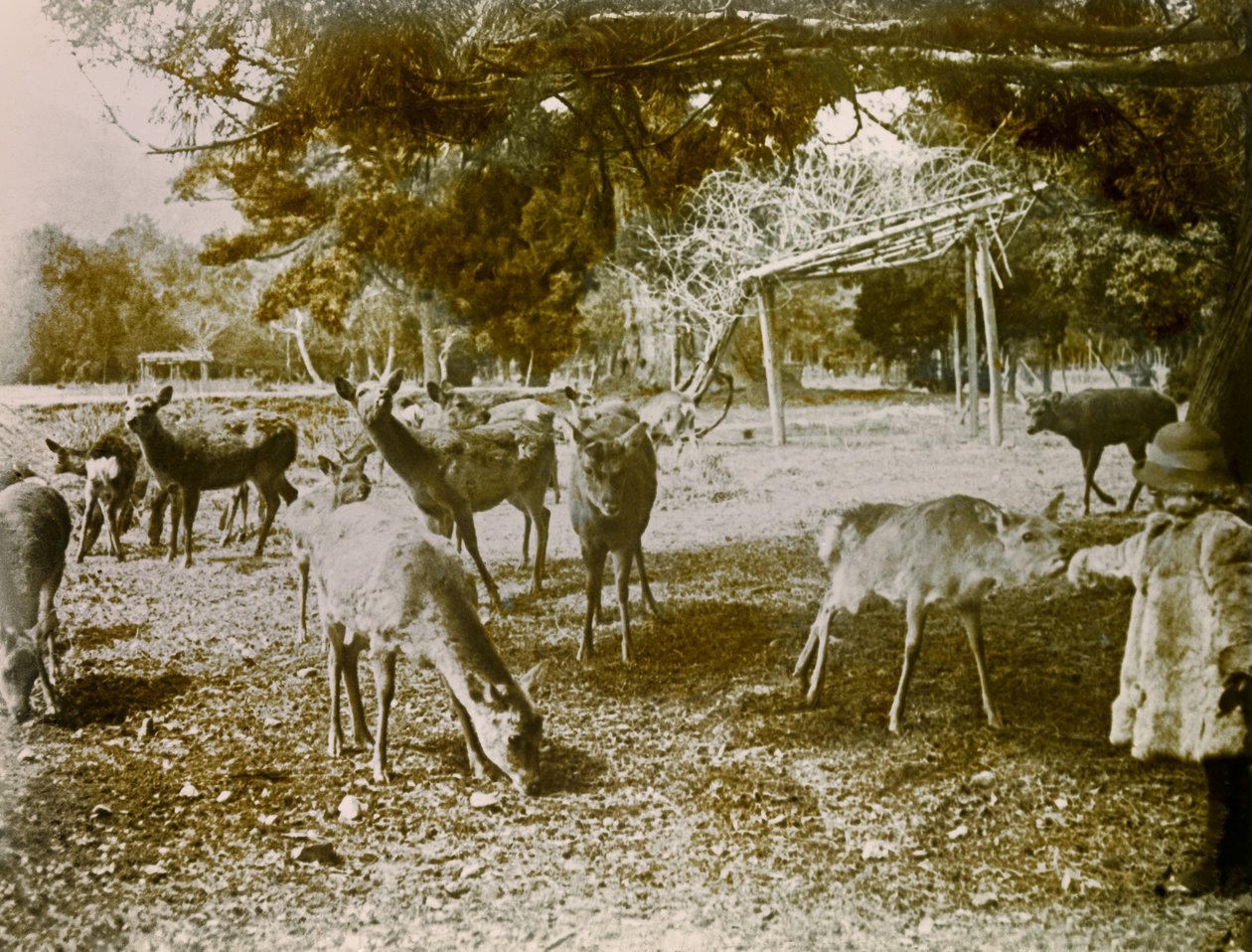  بواسطة 