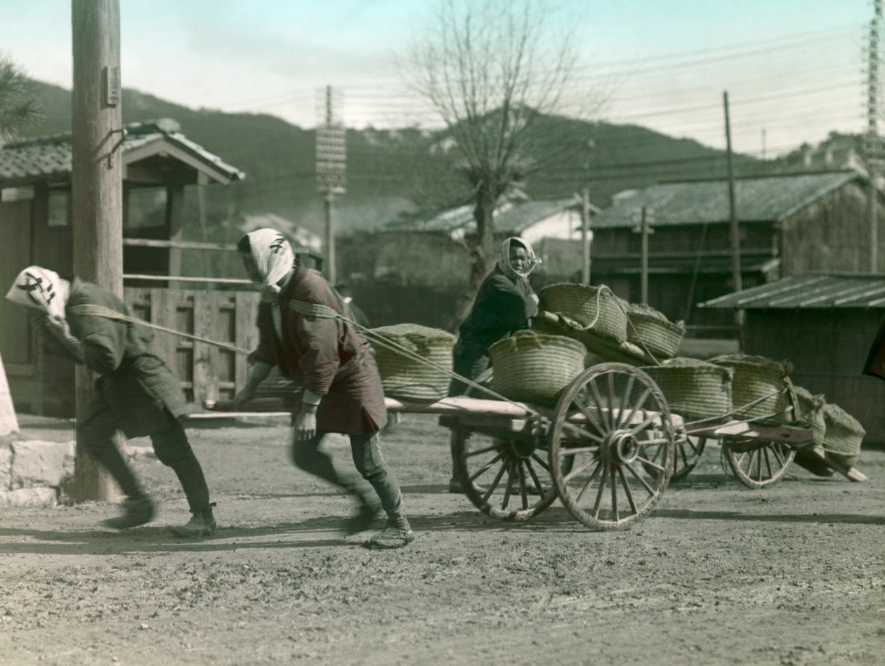 فلاحون يابانيون يجرون أكياس الأرز على عربة، حوالي عام 1900 - 1915 (صورة فوتوغرافية) بواسطة 
