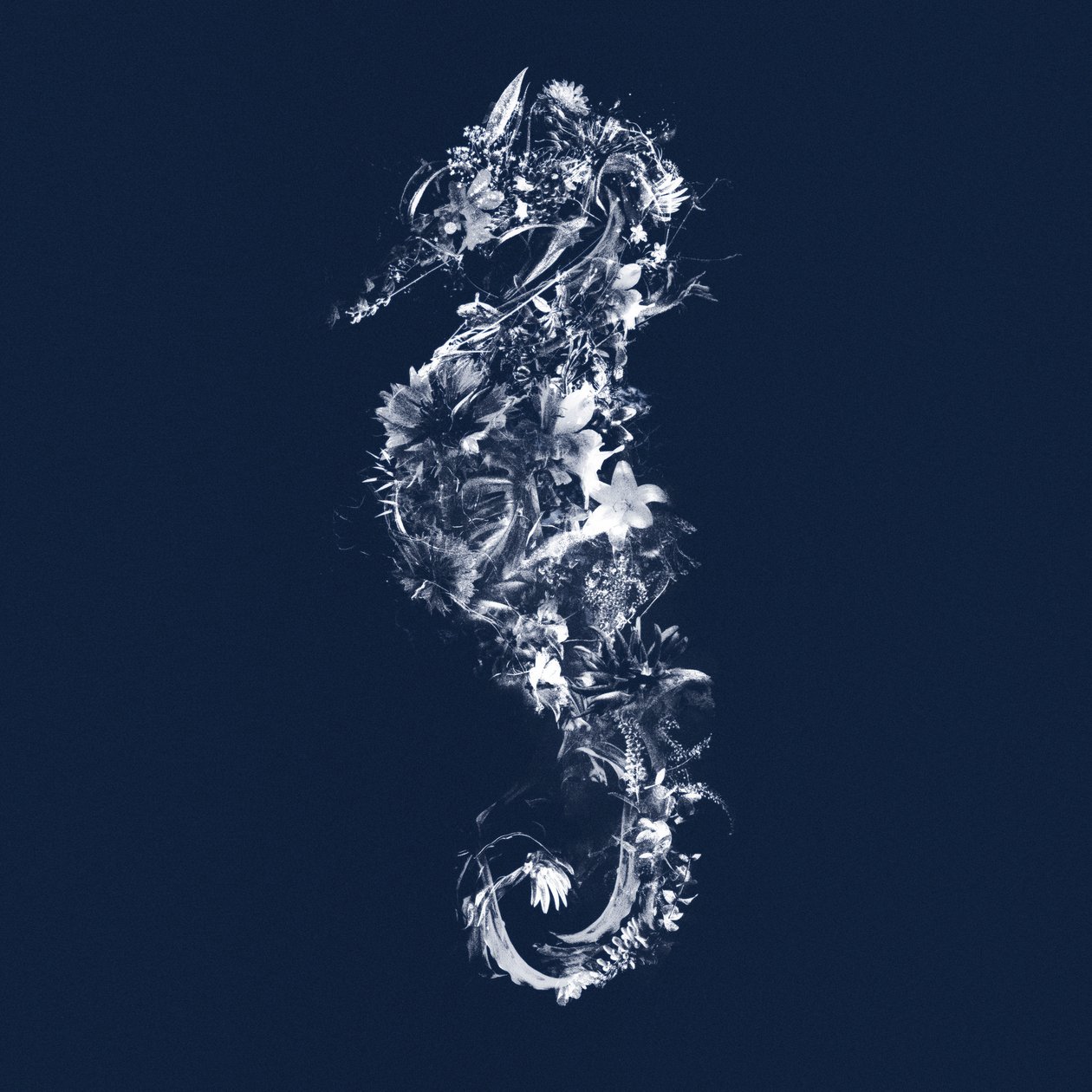 Floralseahorse، 2019 (وسائط مختلفة على قماش) بواسطة تيس ألبرز