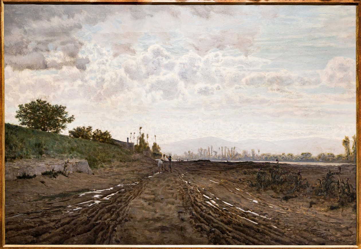 صباح على طول نهر أرنو. حفار الرمل على طول أرنو ، حوالي عام 1868 (زيت على قماش) بواسطة Telemaco Signorini